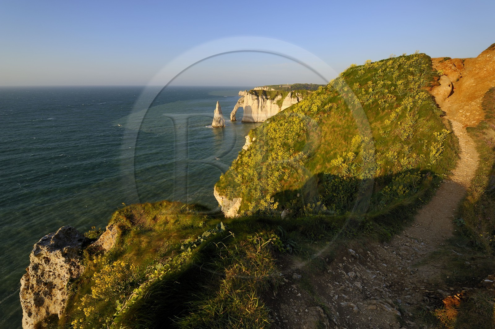 France, Seine-Maritime (76), Pays de Caux, Côte d'Albâtre, Etretat, la falaise d'Aval et l'Aiguille Creuse