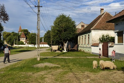 Romania, Transylvania, Cincsor village and the 13th century fortified church in the background