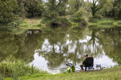 France, Loire-Atlantique (44), Le Pellerin, pêcheur à la ligne en bordure du canal de la Martinière
