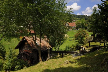 Allemagne, Forêt Noire, Schwartzwald, Bade-Würtemberg, région d'Ottenhöffen, moulin de la Benz-Mühle