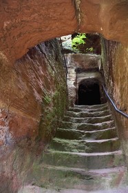 France, Bas-Rhin (67), Parc naturel régional des Vosges du Nord, Niedersteinbach, foret domaniale de Steinbach, ruines du chateau de Wasigenstein, escalier d'accès creusé à même le roc