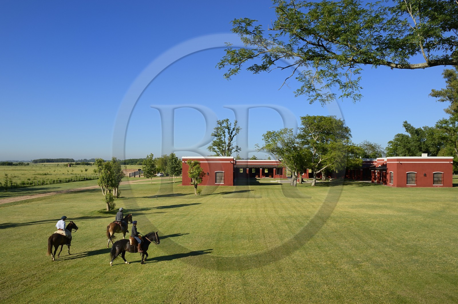 Argentine, province de Buenos Aires, San Antonio de Areco, estancia La Bamba de Areco, gauchos à cheval passant devant l'étable des chevaux utilisés pour le polo