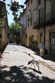 France, Herault, Villeneuvette, former Royal factory, the main street and its 17th century buildings