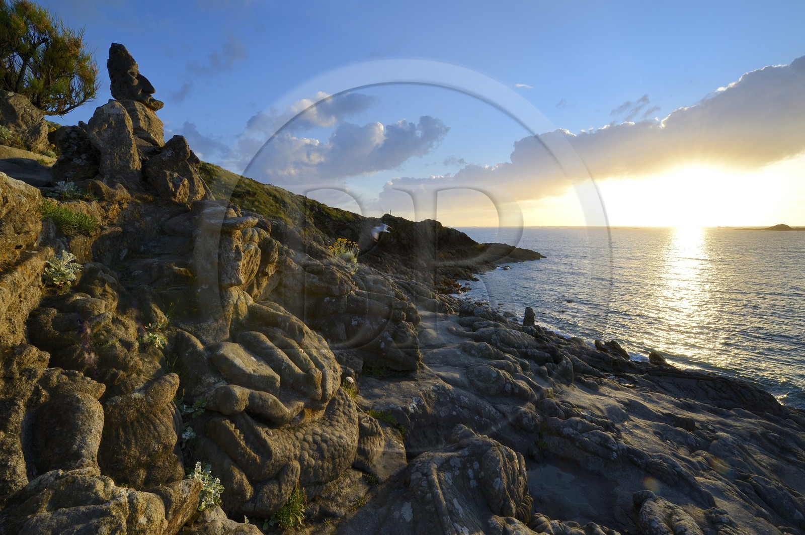 France, Ille-et-Vilaine (35), Saint-Malo, Rothéneuf, rochers sculpté par l'abbé Fouré entre 1870 et 1904