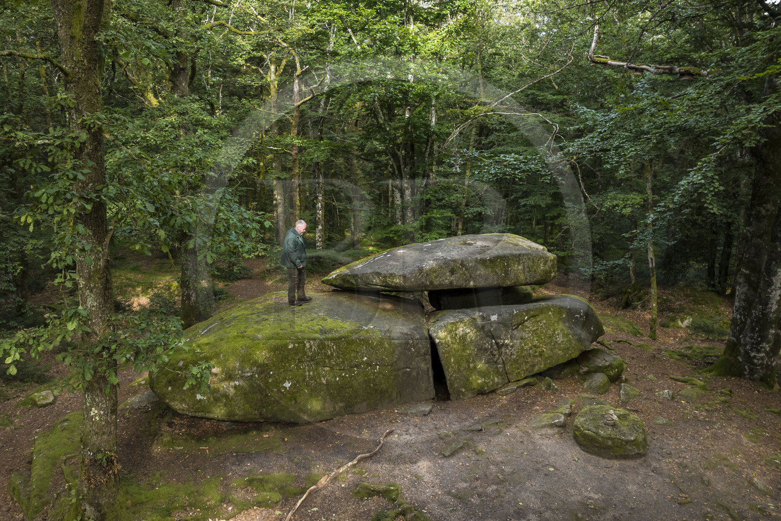 France, Nièvre (58), Parc naturel régional du Morvan, Dun-les-Places, lieu dit Dolmen de Chevresse, chaos granitique formé par l’érosion, dans la forêt de Breuil-Chenue, le garde-forestier à l’ONF Arnaud Chassaigne (vue aérienne)