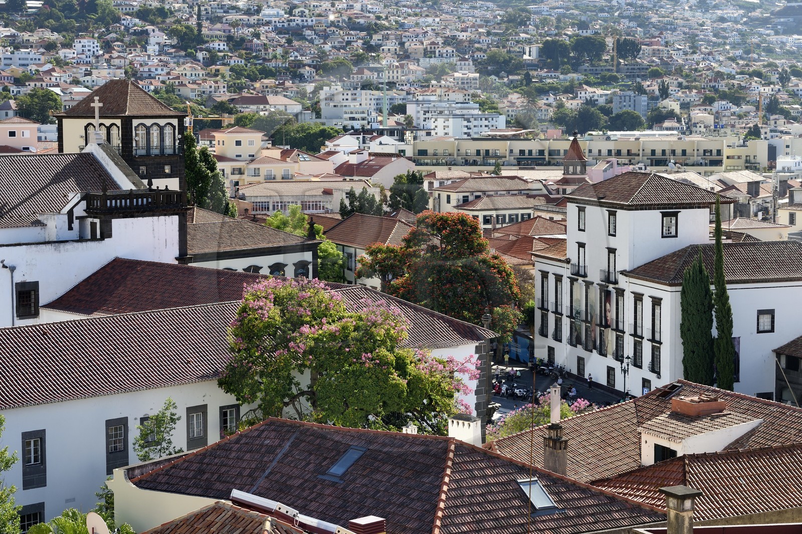 Portugal, Ile de Madère, Funchal, praca do municipio, le Musée d'art sacré logé dans l'ancien palais épiscopal sur la place de la mairie