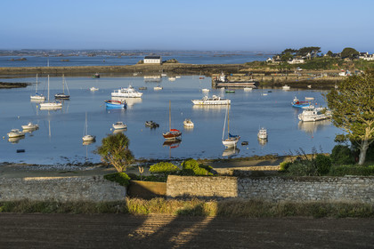 France, Finistère (29), Iles du Ponant, Ile de Batz, baie de  Porz-Kernok dans le chenal au petit matin