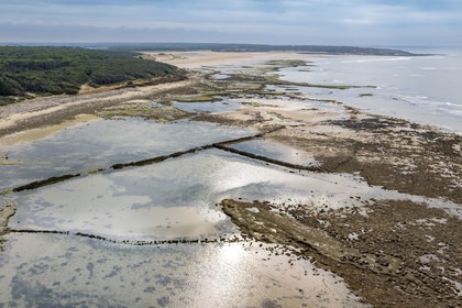 France, Vendée (85), Talmont Saint Hilaire, walls of the ruined fishery on the Veillon foreshore and Pointe du Payré in the background (aerial view)