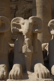 Egypt, Upper Egypt, Nile Valley, Luxor, Karnak Temple listed as World Heritage by UNESCO, Sphinx with ram's head holding between his paws a statuette of Ramses II