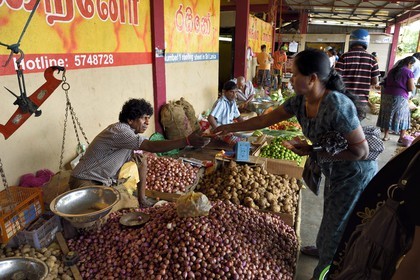 Sri Lanka, province de l'Est, Trincomalee, le marché couvert, vente de légumes