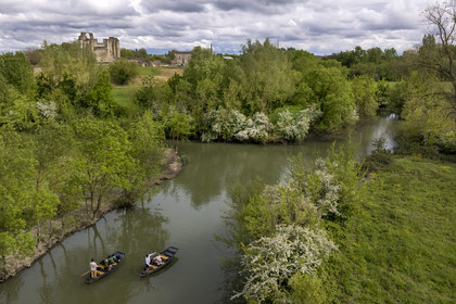 France, Vendée (85), Parc Interrégional du Marais Poitevin labellisé Grand Site de France, Maillezais, batelier effectuant une promenade en barque sur les affluents de l'Autise, les vestiges de l'abbaye Saint-Pierre de Maillezais en arrière plan (vue aérienne)