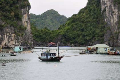 Vietnam, province de Quang Ninh, la Baie d'Halong classée Patrimoine Mondial de l'UNESCO, village flottant de pêcheurs de Vong Vieng