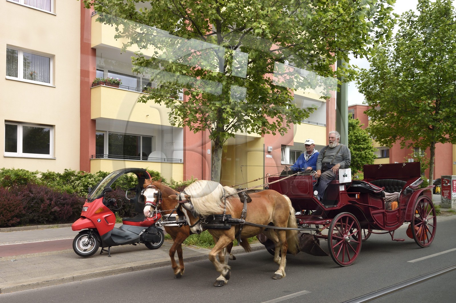 Allemagne, Berlin, calèche tirée par des chevaux dans Bernauer Strasse