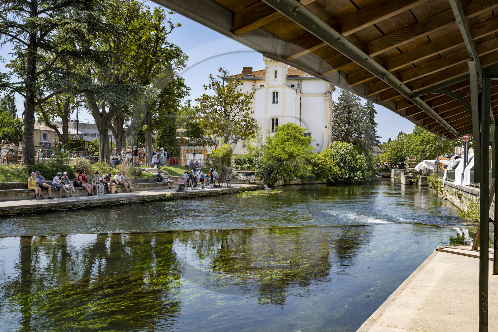 France, Vaucluse, L'Isle sur la Sorgue, the banks of the Sorgue river with undulating seagrass in the heart of the old town quai Jean Jaures