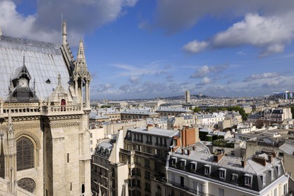 France, Paris (75), île de la Cité, la cathédrale Notre-Dame