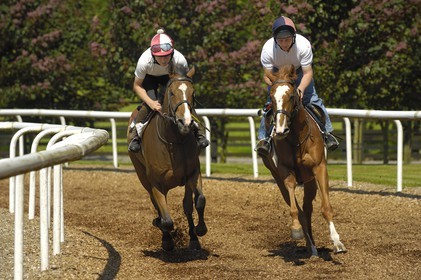 Republic of Ireland, County Kildare, Maynooth, Moyglare Stud, horse training