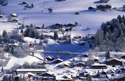 Switzerland, region of Bern (Bernese Oberland), Saanenland, the M.O.B (Montreux-Oberland-Bernois) train passing threw Gstaad