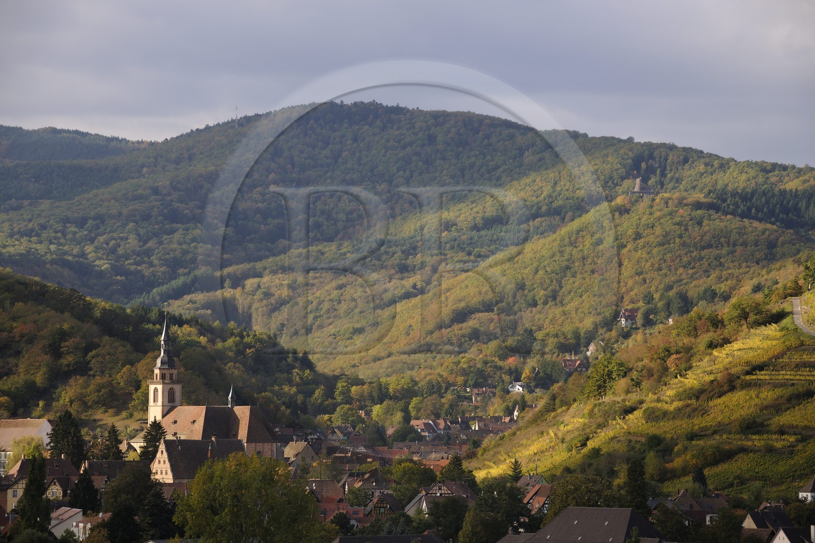 France, Bas-Rhin (67), Andlau au pied du massif des Vosges