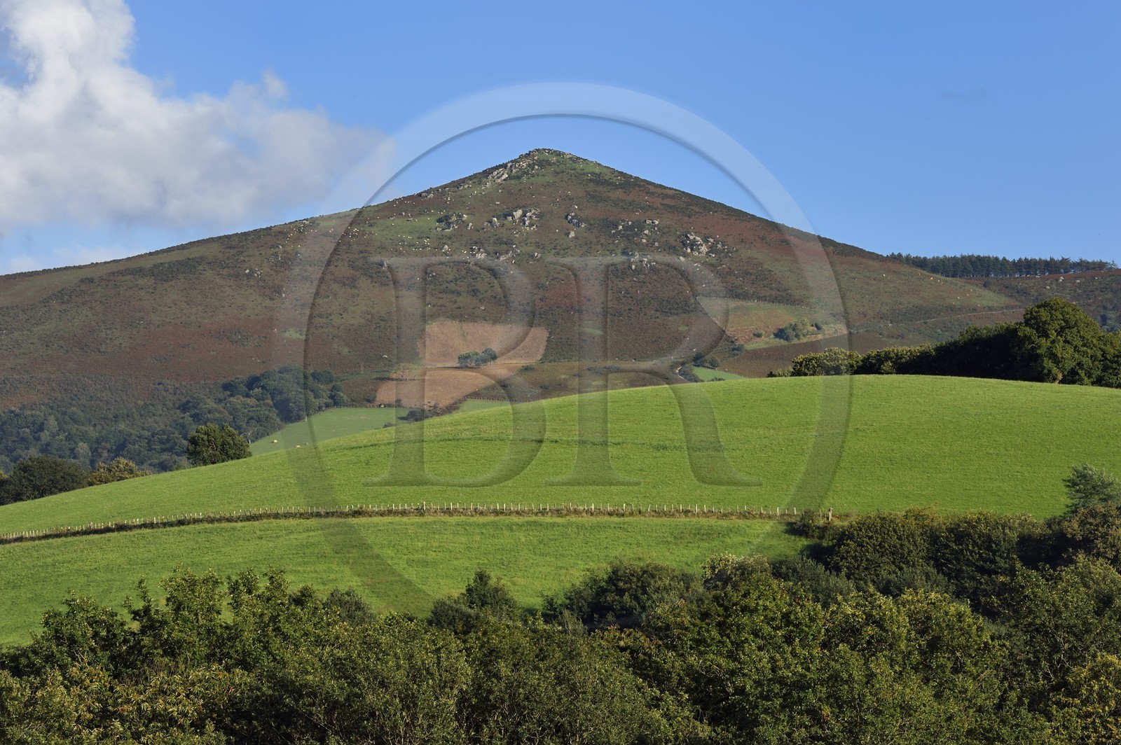 France, Pyrenees Atlantiques, Basque Country, Espelette, towards the Mont Mondarrain