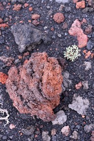 Italie, Sicile, Parc naturel régional de l’Etna, le Mont Etna, classé Patrimoine Mondial de l'UNESCO, roche volcanique
