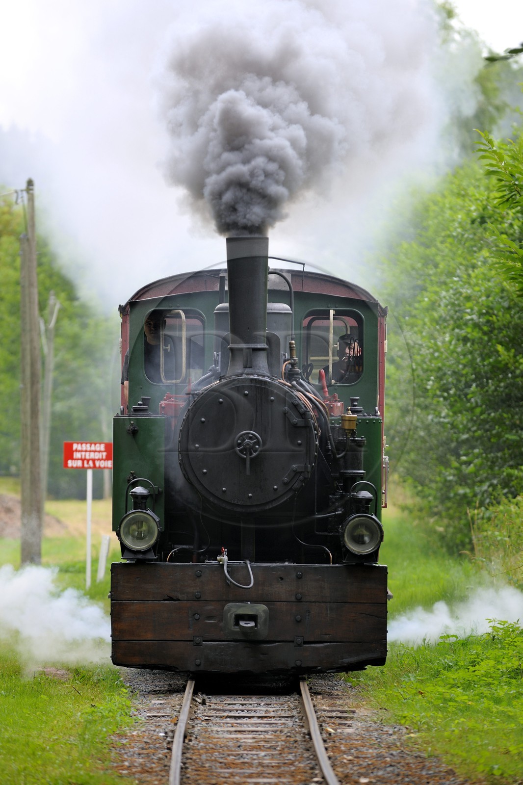 France, Moselle (57), Abreschviller, le petit train anciennement train forestier, Locomotive 02 + 20 T Mallet N°476, construite par la Maschinenfabrik Heilbronn en 1906 pour le réseau (exemplaire unique)