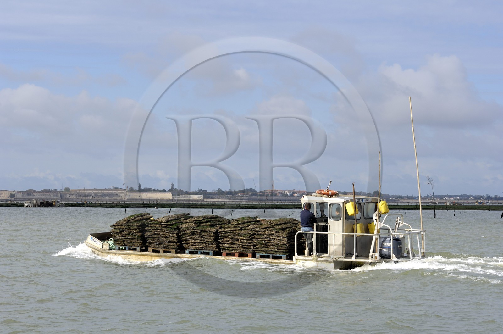 France, Charente-Maritime (17), le bassin Marrennes-Oléron au large du port Le Château d'Oléron, chaland à huîtres