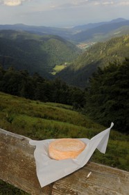 France, Haut Rhin, scenic road of la route des Cretes near Metzeral, marcaire de Steinwasen farm, Munster cheese