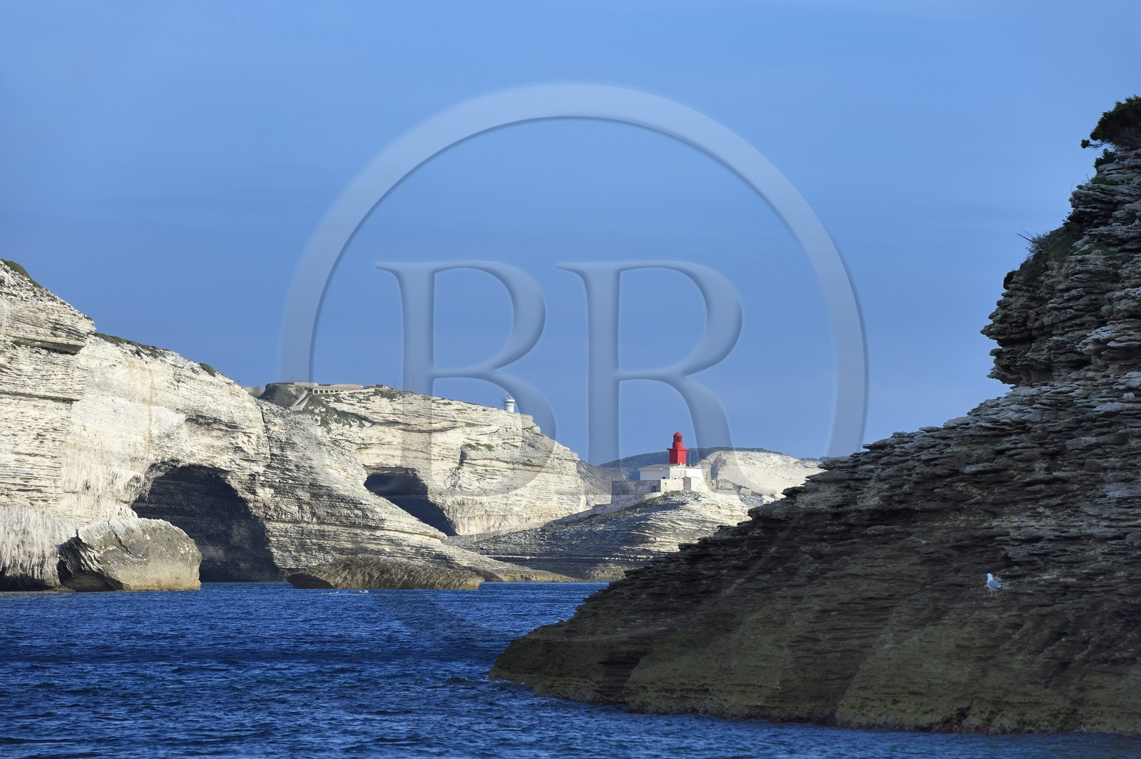 France, Corse-du-Sud (2A), Bonifacio, les falaises de calcaire de plus de 60 mètres de haut et le phare à l'entrée de la calanque