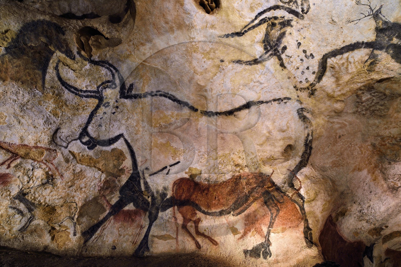 France, Dordogne (24), Périgord Noir, vallée de la Vezère, Montignac-sur-Vézère, Grotte de Lascaux II, reconstitution du site préhistorique et grotte ornée classés Patrimoine Mondial de l'UNESCO, Aurochs et Cerfs
