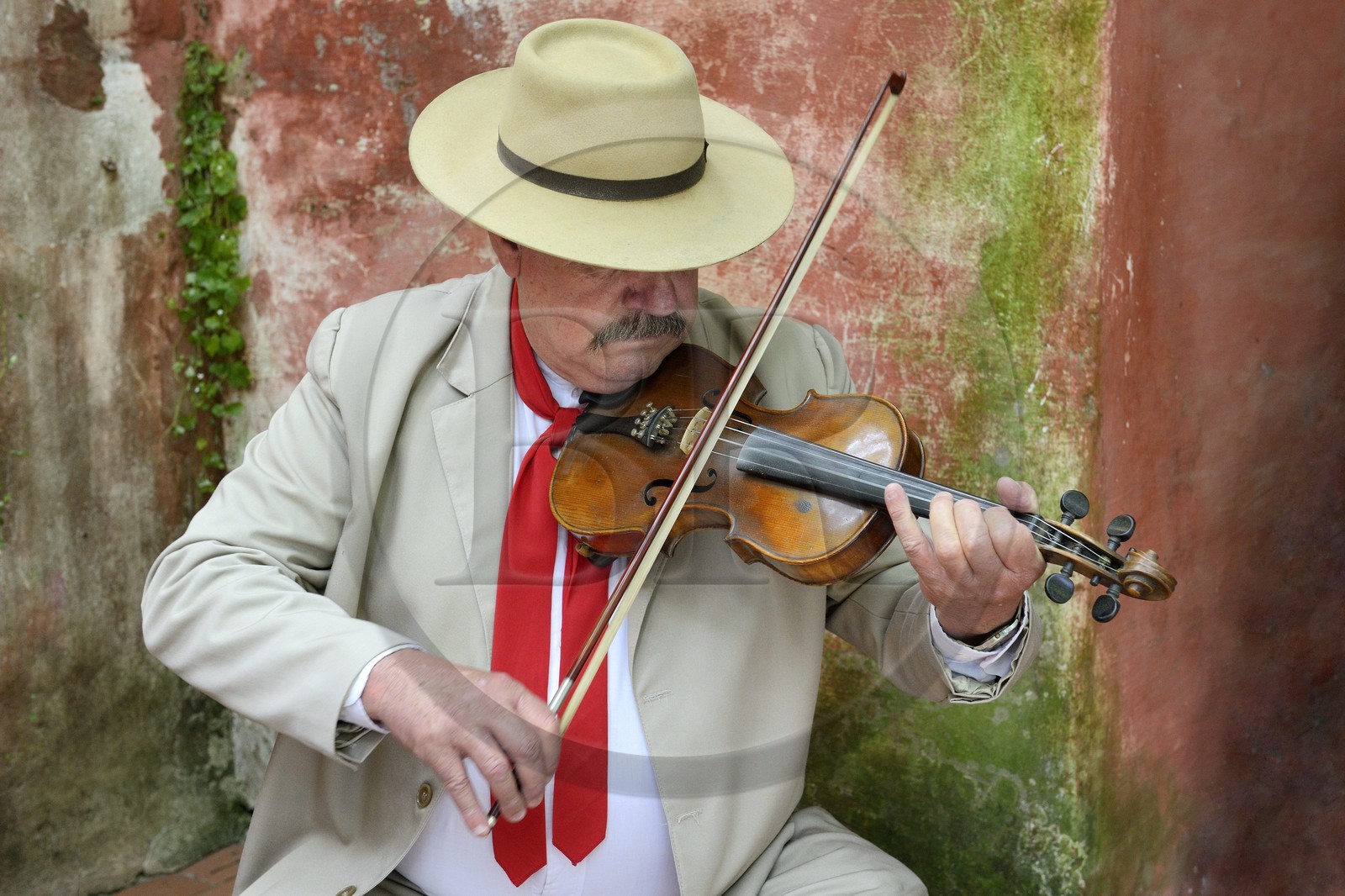 Argentine, province de Buenos Aires, San Antonio de Areco, fête du Jour de la Tradition (Dia de la Tradicion), violoniste