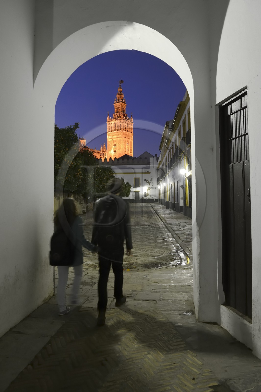 Espagne, Andalousie, Séville, la Giralda vue depuis la Cour des Drapeaux (Patio de Banderas)