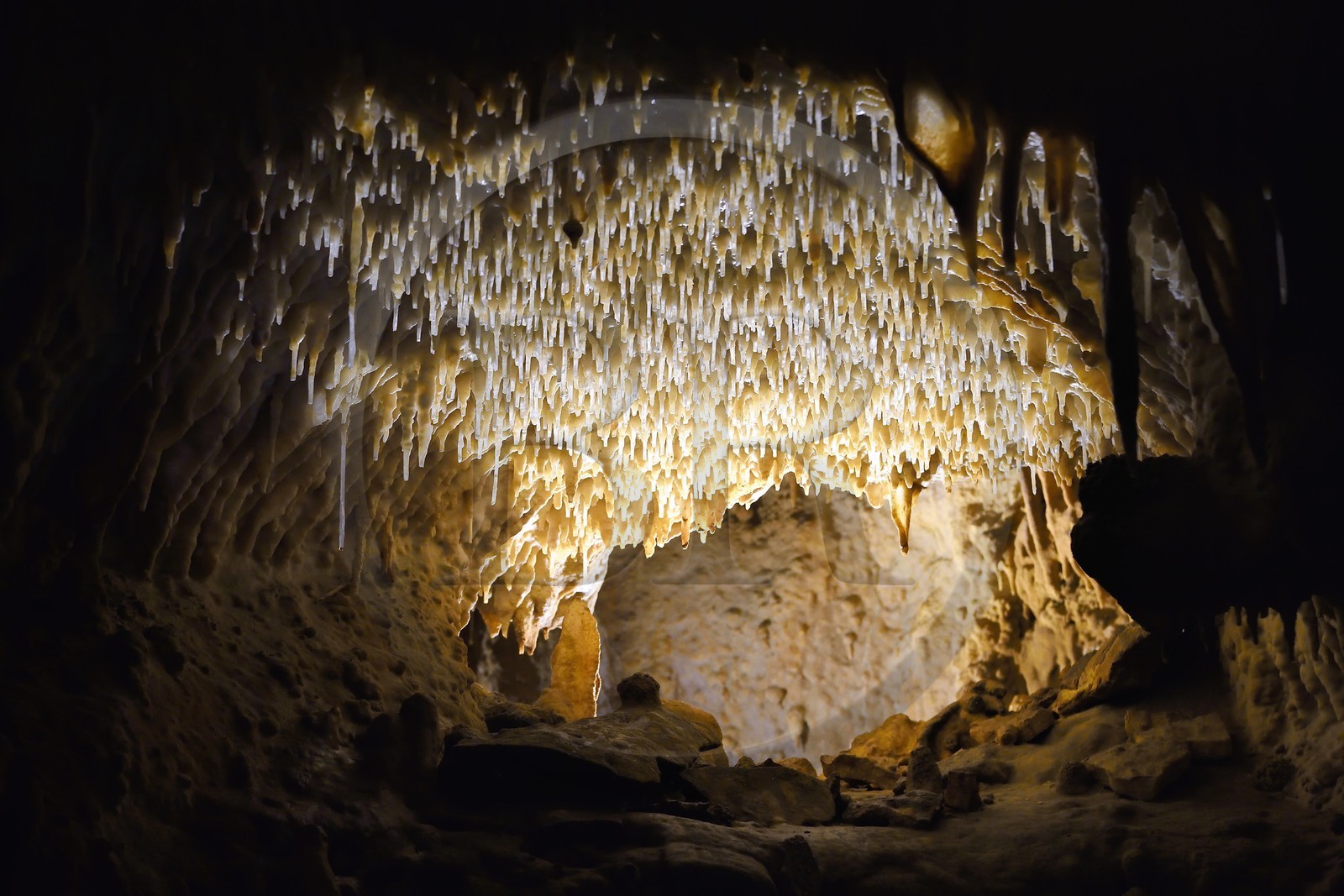France, Dordogne (24), Périgord Vert, Villars, Grotte de Villars, concrétions dans les grottes