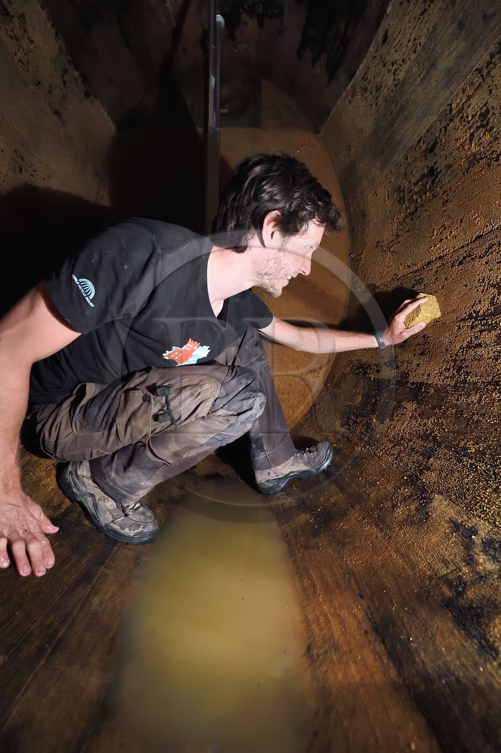 France, Haut-Rhin (68), Route des vins d'Alsace, Bergheim, Domaine viticole Marcel Deiss, le viticulteur Mathieu Deiss nettoyant l'intérieur d'un grand tonneau aussi appelé foudre