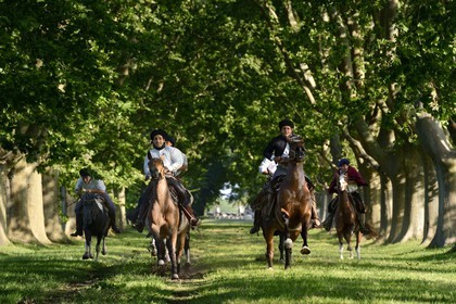 Argentine, province de Buenos Aires, San Antonio de Areco, groupe de gauchos à cheval sous les arbres de l'allée qui mène à l'estancia La Bamba de Areco