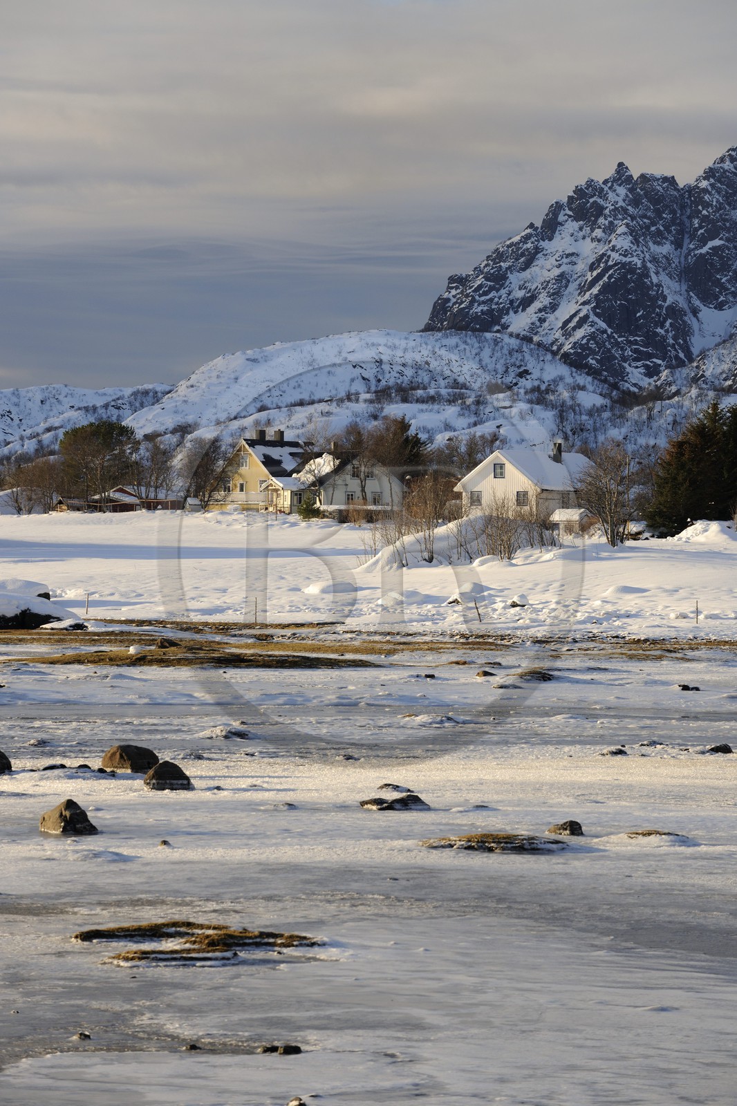 Norvège, Nordland, Iles Lofoten, paysage d'une baie gelée en hiver sur l'Ile de Vagan
