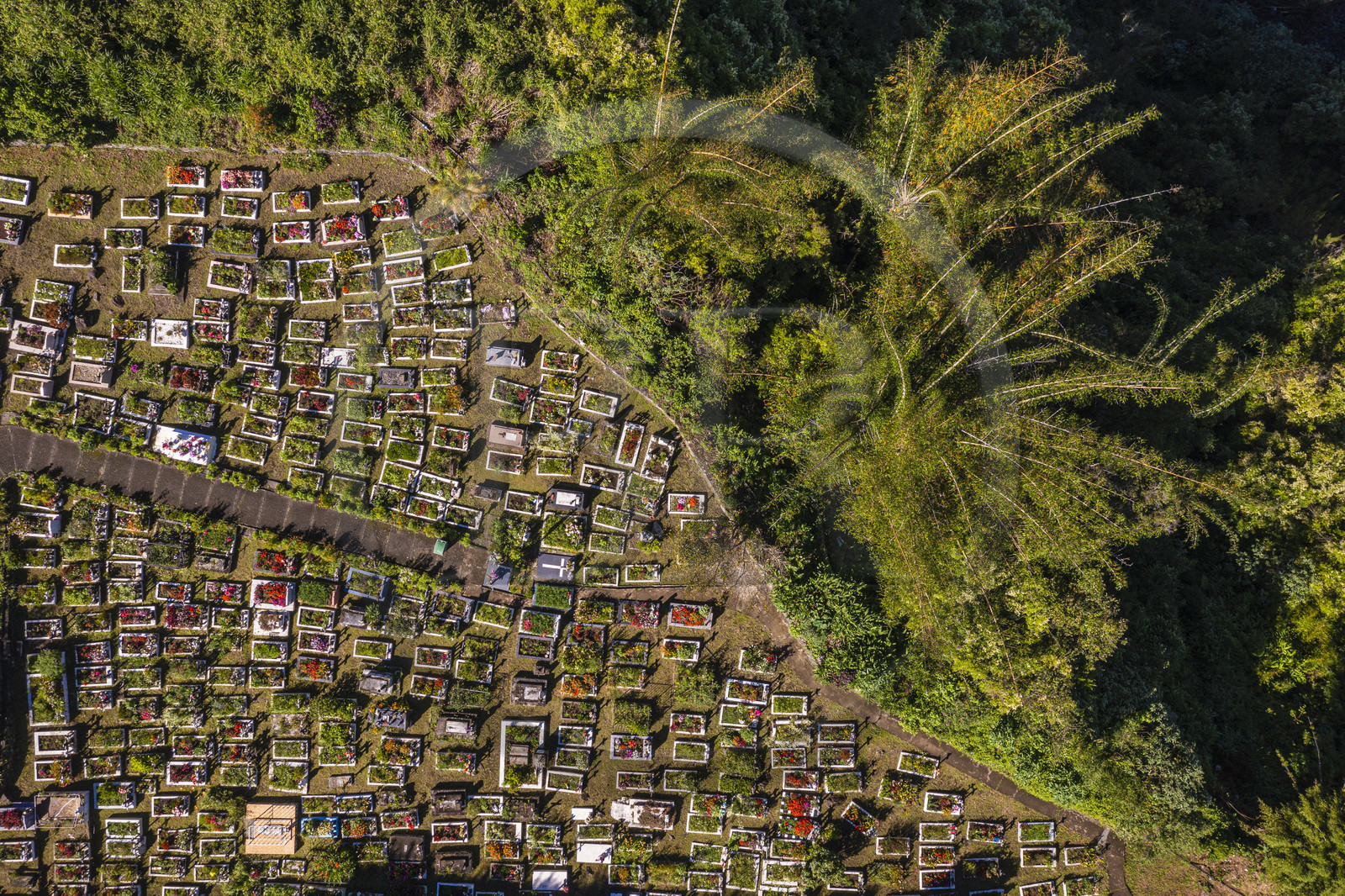 France, Ile de la Reunion, Cirque de Salazie, classé Patrimoine Mondial de l'UNESCO, Hell-Bourg, labellisé les Plus Beaux Villages de France, le cimetière constitué de tombes en pleine terre fleuries naturellement (vue aérienne)