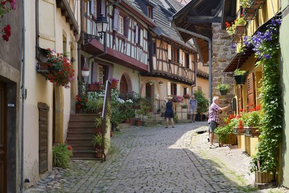 France, Haut-Rhin (68), Eguisheim, labellisé Les Plus Beaux Villages de France, maisons traditionnelles à pans de bois dans la rue du Rempart Sud