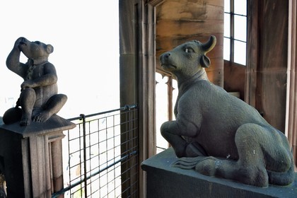France, Bas-Rhin (67), Strasbourg, vieille ville classée au Patrimoine Mondial de l'UNESCO, la cathédrale Notre-Dame, à mi hauteur de chacun des quatres escaliers à vis appelées les Vier Schnecken (quatre escargots), une passerelle les relie à la tour octogonale et on y trouve deux statues, ici l'ours enchainé et le taureau (références aux constellations de la Grande Ours et du Bouvier)