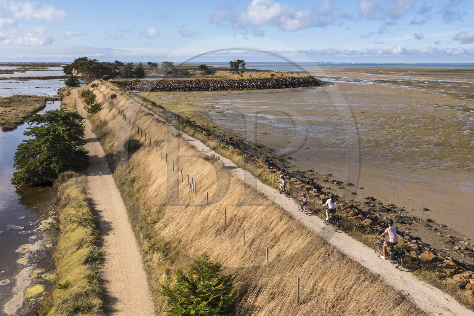 France, Vendée (85), île de Noirmoutier, Barbatre, cyclistes sur la digue de la côte Est à marrée basse (vue aérienne)