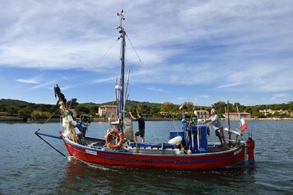 France, Var (83), Iles d'Hyères, parc national de Port Cros, Ile de Porquerolles, Bernard Samuel dit Sam le pêcheur sur son pointu (bateau) Le Corailleur