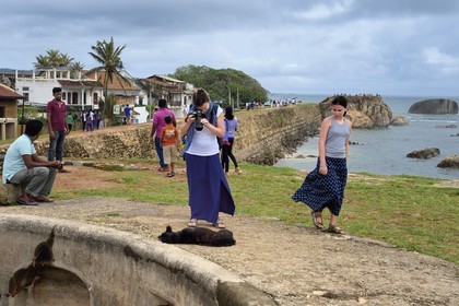 Sri Lanka, Province du Sud, Fort de Galle, classé Patrimoine Mondial de l'UNESCO, chien errant sur les remparts maritimes