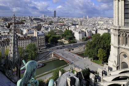 France, Paris (75), les rives de la Seine classées Patrimoine Mondial de l'UNESCO, île de la Cité, la cathédrale Notre-Dame depuis la flèche qui domine les statues de cuivre vert-de-grisé des douze apôtres
