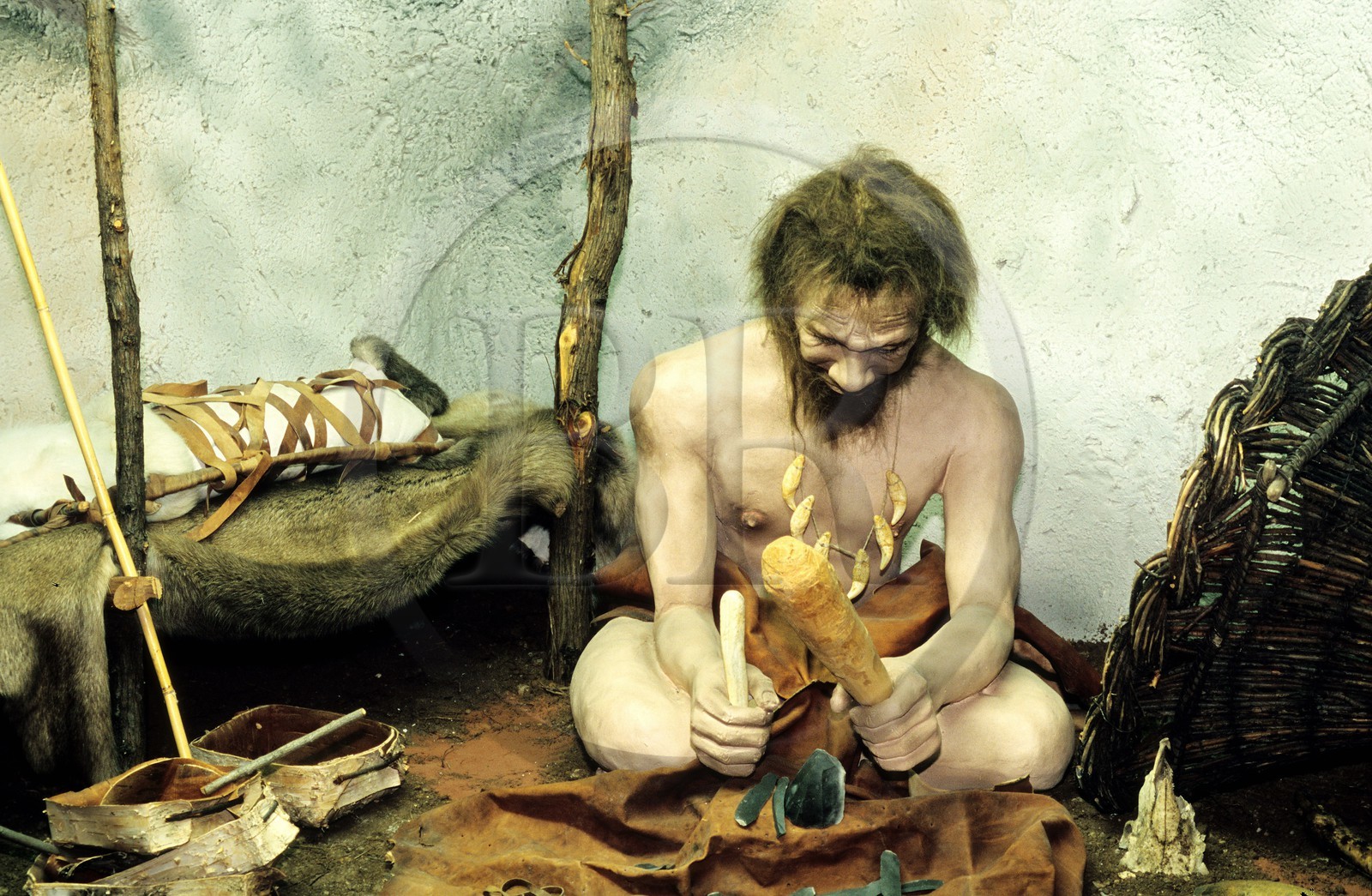 France, Gard (30), Rousson, Préhistorama, musée des origines et de l' évolution de l' homme