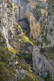 France, Alpes-de-Haute-Provence (04), Parc Naturel Régional du Verdon, Rougon, Grand Canyon du Verdon, la rivière du Verdon dans le couloir Samson et le début du sentier Blanc-Martel sur le GR4
