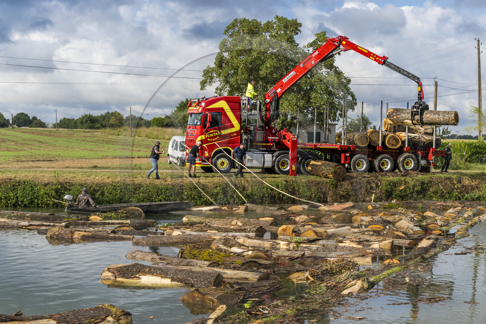 France, Deux-Sèvres (79), le Marais Poitevin, la Venise Verte, Magné, randonnée à bicyclette le long de la Sèvre Niortaise, flottage du bois