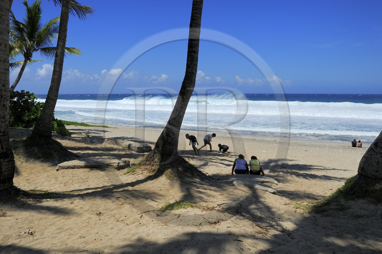 France, île de la Réunion, la côte sud, plage de Grand-Anse