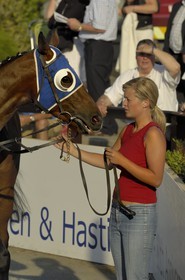 Republic of Ireland, County Meath, Ratoath, Fairyhouse racecourse, presentation of the horses before the race