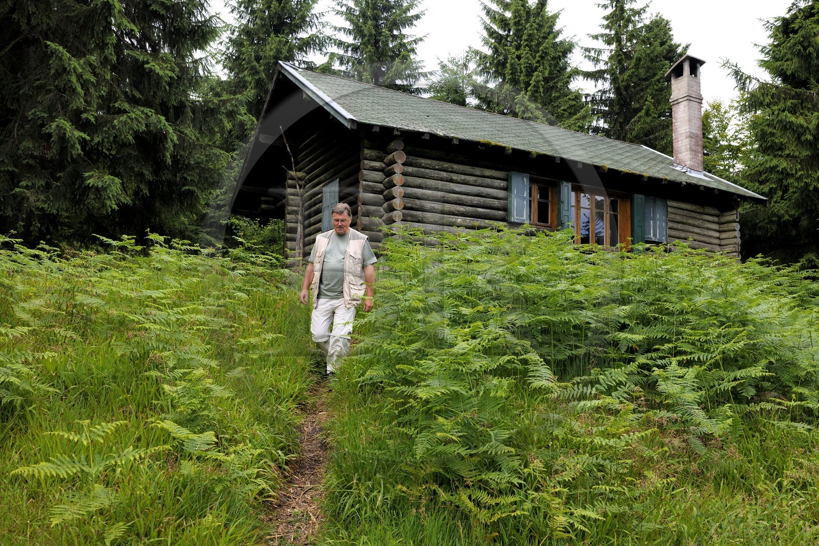 France, Bas-Rhin (67), chemin des passeurs au Donon sur la trace de la filière d'évasion du Rehtal