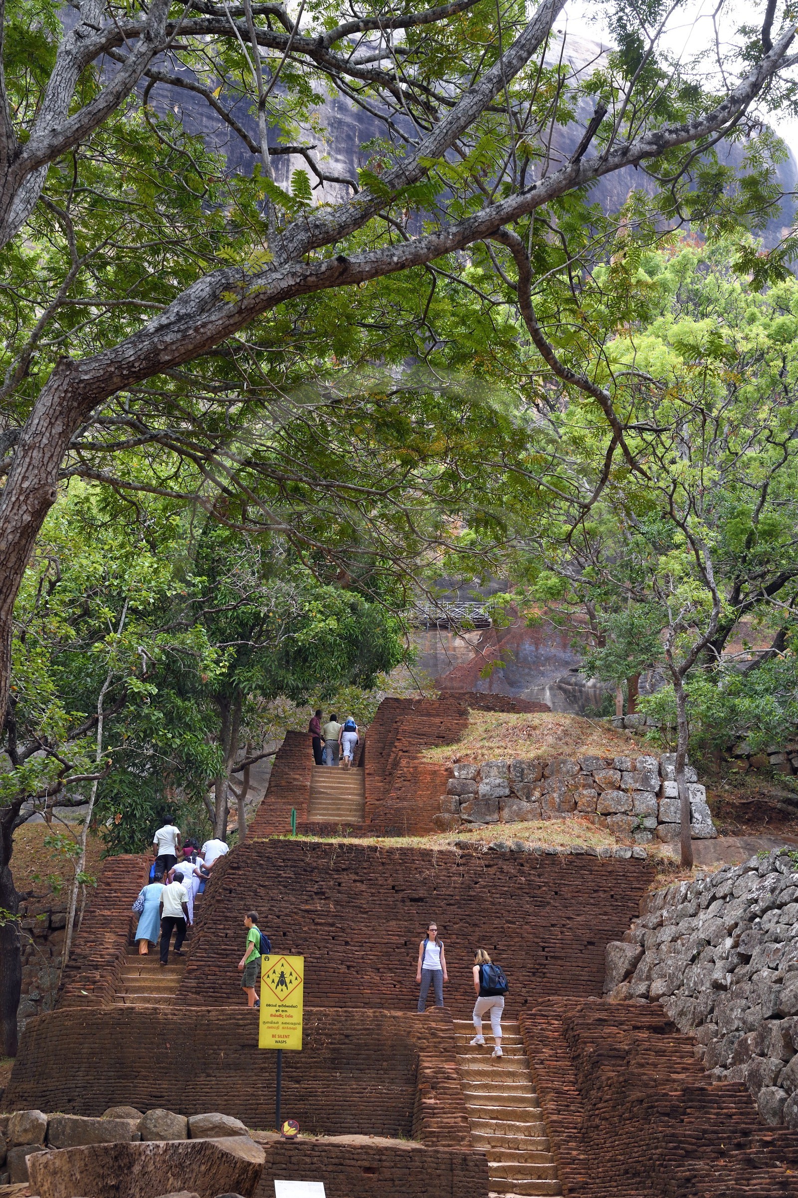 Sri Lanka, province centrale, district de Matale, Sigiriya, ville ancienne de Sigiriya classée patrimoine mondial de l'UNESCO, l'ancien palais forteresse du Rocher du Lion