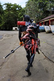 France, île de la Réunion, anse des Cascades, au sud de Piton-Sainte-Rose, classé Patrimoine Mondial de l'UNESCO, retour de pêche au harpon